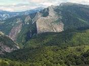 marzo: Internacional bosques conmemoración)