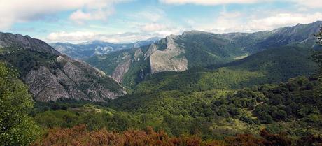 21 de marzo:  Dia Internacional de los bosques ( conmemoración)