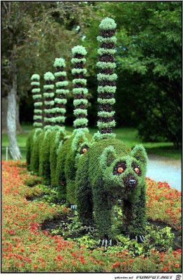 “Arte topiario” impresionates esculturas hechas con setos.