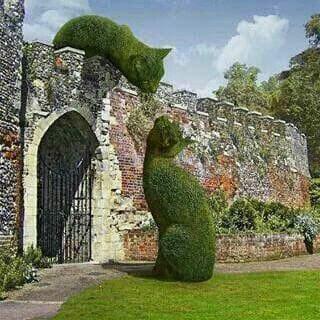 “Arte topiario” impresionates esculturas hechas con setos.