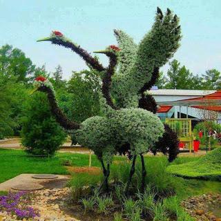 “Arte topiario” impresionates esculturas hechas con setos.