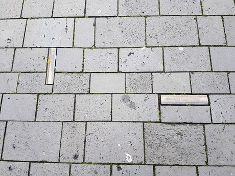 Mercadillos navideños:Bonn