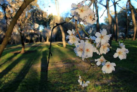 ¿Cuál es la mejor época para viajar a Madrid? ¿Cuál es la mejor época para viajar a Madrid?