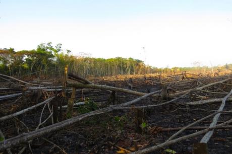 La preservación del parque es fundamental para la conservación biológica y cultural del corredor ecológico