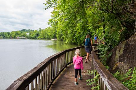 ijams-nature-center-things-to-do-in-knoxville-4 ▷ Comente sobre los 4 mejores lugares para visitar en Tennessee (y un itinerario para cada lugar) por Cómo Tennessee puede ser el mejor destino para unas vacaciones | Guía local de los Estados Unidos