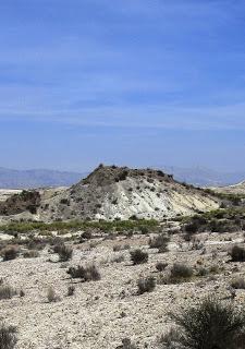 Volcanes de Fortuna. Los Cabecicos Negros y sus rocas encajantes.