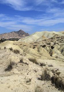 Volcanes de Fortuna. Los Cabecicos Negros y sus rocas encajantes.