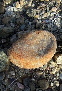 Volcanes de Fortuna. Los Cabecicos Negros y sus rocas encajantes.