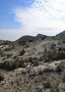 Volcanes de Fortuna. Los Cabecicos Negros y sus rocas encajantes.