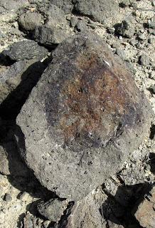 Volcanes de Fortuna. Los Cabecicos Negros y sus rocas encajantes.