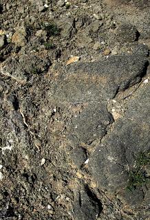 Volcanes de Fortuna. Los Cabecicos Negros y sus rocas encajantes.