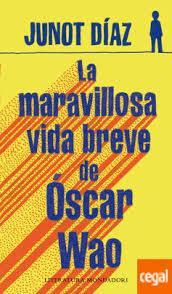 Una lectura de Chimamanda y Junot Díaz