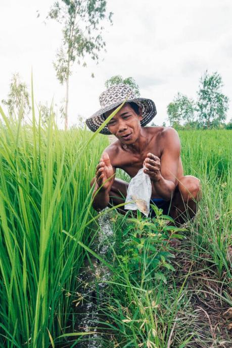 Backpacking-Cambodia-Itinerary-111-610x915 ▷ El último itinerario para mochileros en Camboya (2 semanas o 10 días)