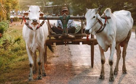 Backpacking-Cambodia-Itinerary-Extra-2-610x378 ▷ El último itinerario para mochileros en Camboya (2 semanas o 10 días)