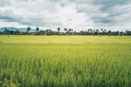 Backpacking-Cambodia-Itinerary-114-610x407 ▷ El último itinerario para mochileros en Camboya (2 semanas o 10 días)