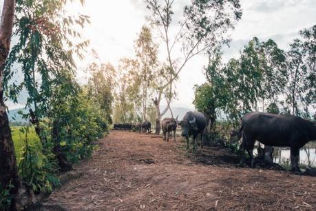 Backpacking-Cambodia-Itinerary-174-610x407 ▷ El último itinerario para mochileros en Camboya (2 semanas o 10 días)