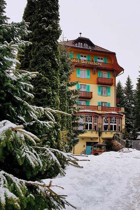 Hotel-Belvedere-historic-hotel-in-Wengen-Switzerland.jpg.optimal ▷ Región de Jungfrau en invierno: destino suizo que lo tiene todo