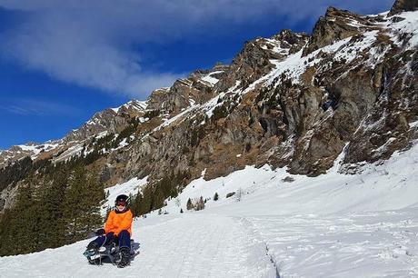 ▷ Región de Jungfrau en invierno: destino suizo que lo tiene todo Sledding-in-Jungfrau-in-winter-Fox-Run-between-Kleine-Scheidegg-and-Wengen-Switzerland.jpg.optimal ▷ Región de Jungfrau en invierno: destino suizo que lo tiene todo
