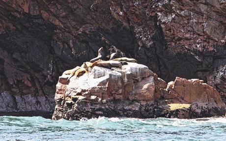 paracas-ballestas-islands-1024x640 ▷ Los 3 puntos turísticos más populares de Perú