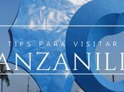 Tips viaje para visitar manzanillo