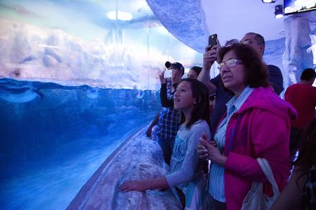 Día Internacional de los Museos: Cómo festejarlo en la CDMX