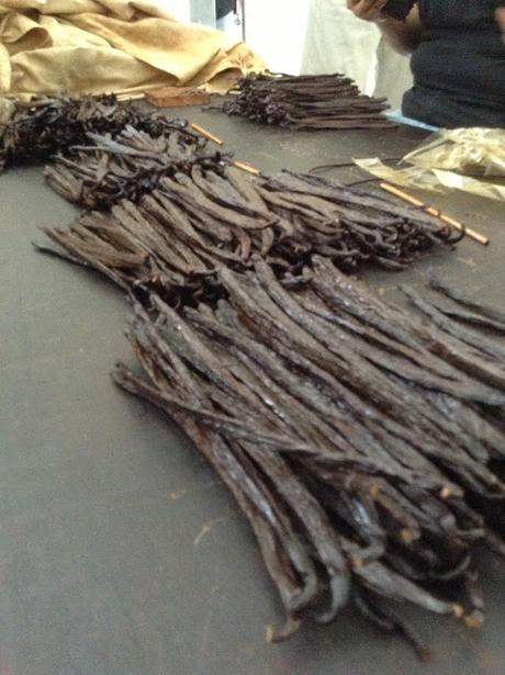 Vainilla de Papantla