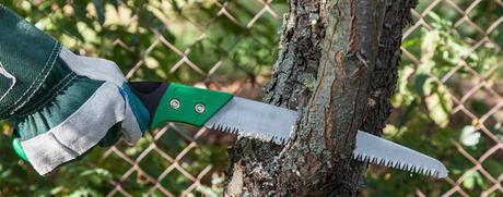 consejos de poda de arboles