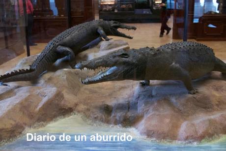 Tervuren. El Museo Real de África Central