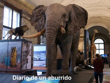 Tervuren. El Museo Real de África Central