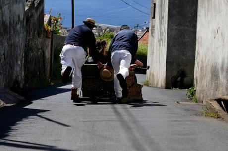 Fotos-de-Madeira-carros-de-cesto-en-Funchal ▷ Qué ver en Madeira, una guía con las islas del eterno Sam.