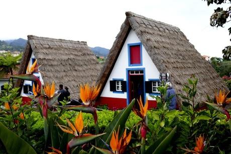 Fotos-de-Madeira-casas-tipicas-de-Santana ▷ Qué ver en Madeira, una guía con las islas del eterno Sam.