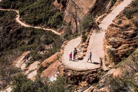 angels-landing-zion-national-park-9 ▷ Semana 16: Nuestra primera prueba de Utah BLOWS nuestra mente