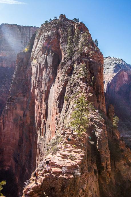 angels-landing-zion-national-park-3 ▷ Semana 16: Nuestra primera prueba de Utah BLOWS nuestra mente