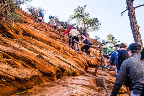 angels-landing-zion-national-park-5 ▷ Semana 16: Nuestra primera prueba de Utah BLOWS nuestra mente