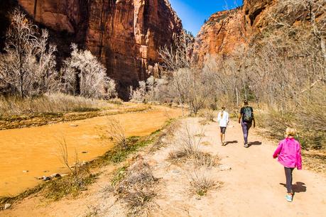riverside-walk-zion-national-park-2 ▷ Semana 16: Nuestra primera prueba de Utah BLOWS nuestra mente