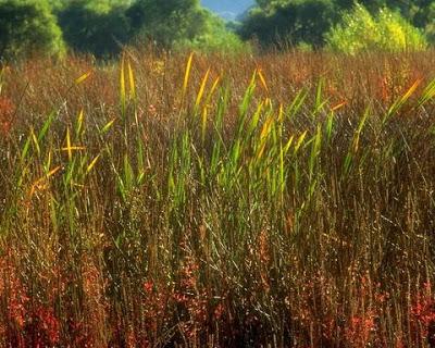 25 de marzo: Día de la Vida