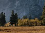Yosemite: rendidos naturaleza este parque nacional EEUU