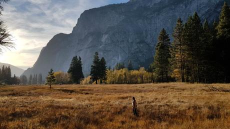 vista-panoramica-campo-yosemite 