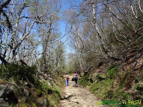 Sendero de Piedraxueves al Puerto San Lorenzo