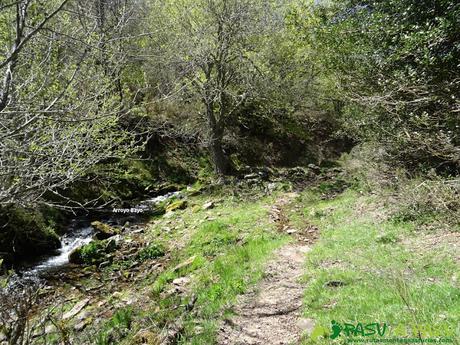 Sendero junto al arroyo Bayo