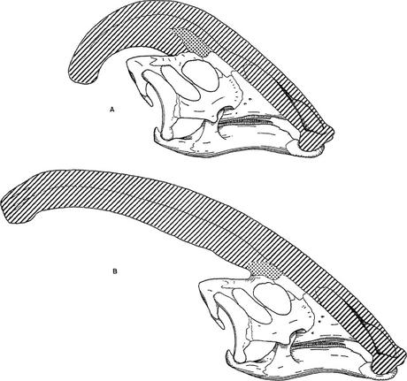 El Parasaurolophus buceador y el misterio de su cresta