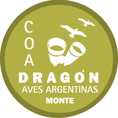 Primera salida del COA Dragón