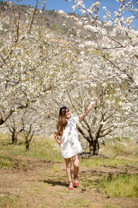 Cherry blossom (OOTD) Cherry blossom (OOTD)