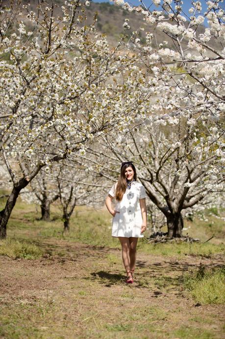 Cherry blossom (OOTD) Cherry blossom (OOTD)