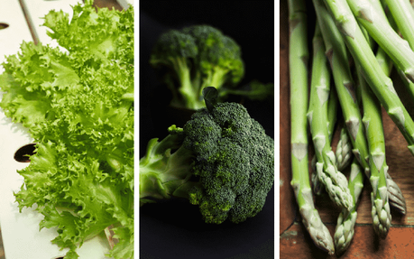 Vegetales altos en proteínas