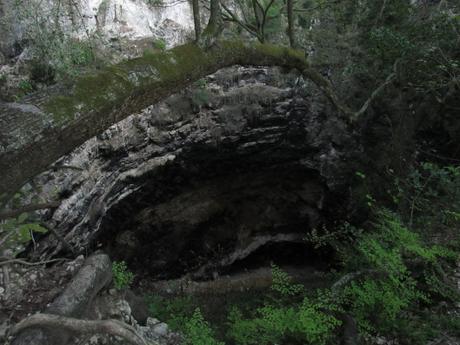 Tras las huellas de Calakmul Tras las huellas de Calakmul