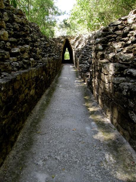 Tras las huellas de Calakmul