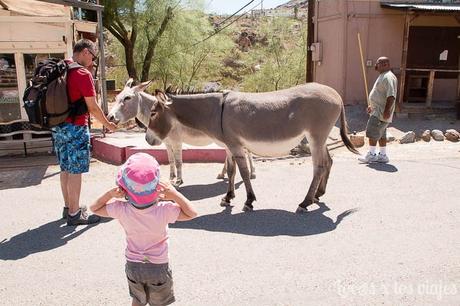 1553663104_509_Recorriendo-la-Ruta-66 Recorriendo la Ruta 66