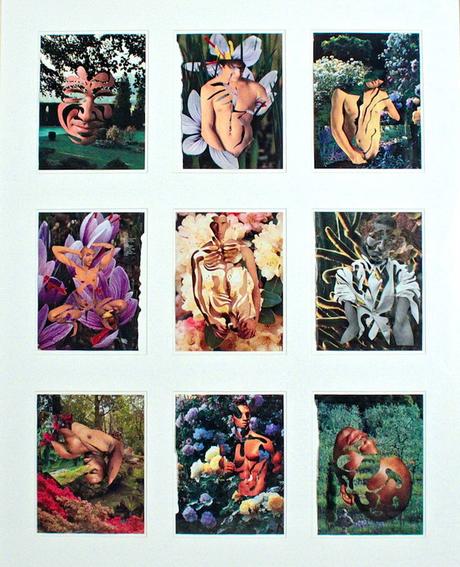 Alfredo Londaibere: todas las flores que la tierra puede dar Alfredo Londaibere: todas las flores que la tierra puede dar