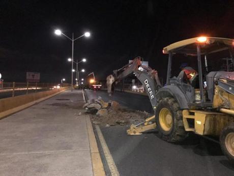 Como basura retiran palmeras de maceteros en Salvador Nava